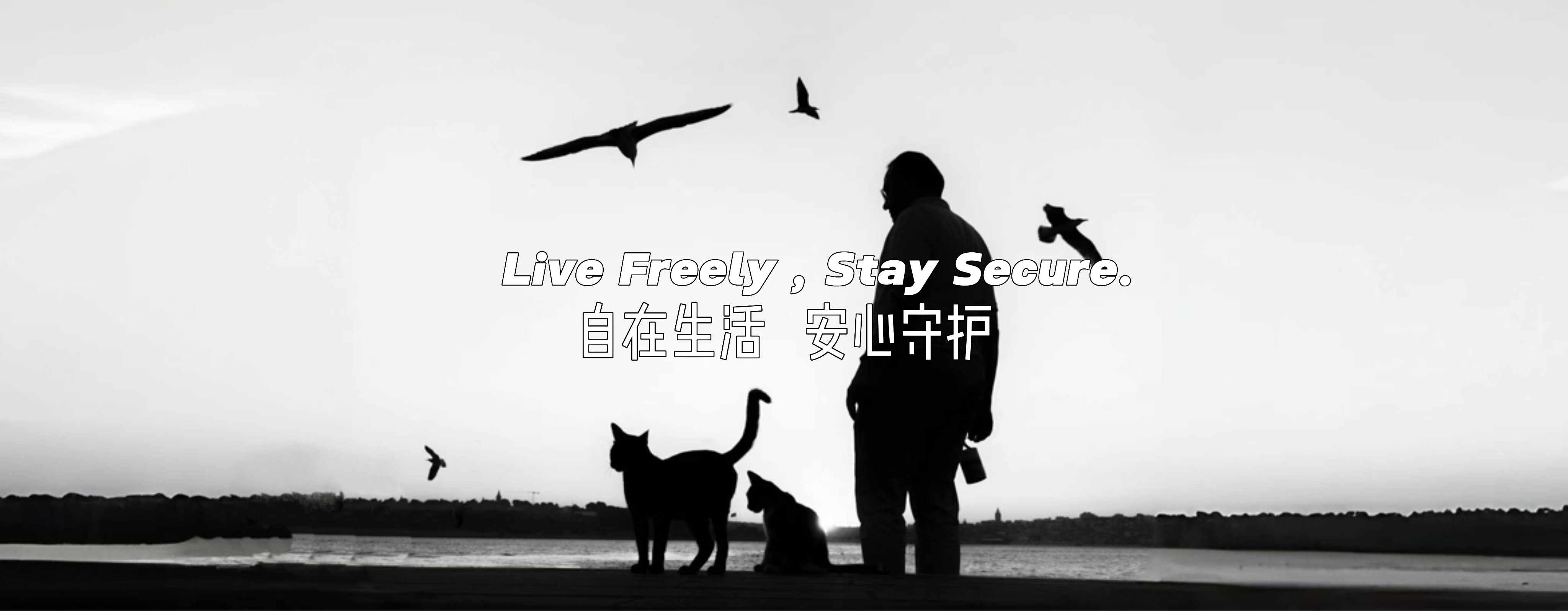 中文2