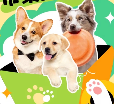 The Pet Training Pad Market: A Nearly $400 Million Industry - What's the Outlook?